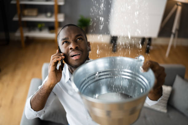 Carpet water damage restoration in Granby, MO
