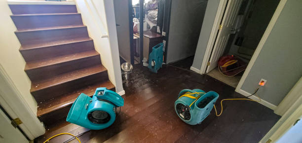 Best 24-hour water damage restoration  in Granby, MO