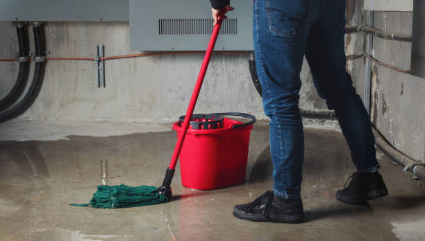 Best Fire Damage Restoration  in Granby, MO