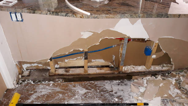 Best Mold removal after water damage  in Granby, MO