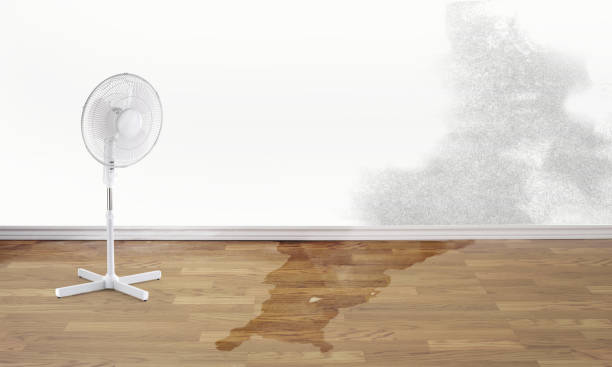 Best Flood damage cleanup  in Granby, MO