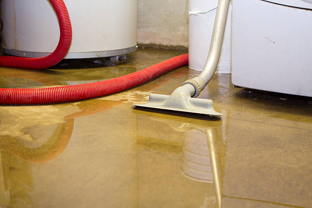 Best Commercial water damage restoration  in Granby, MO