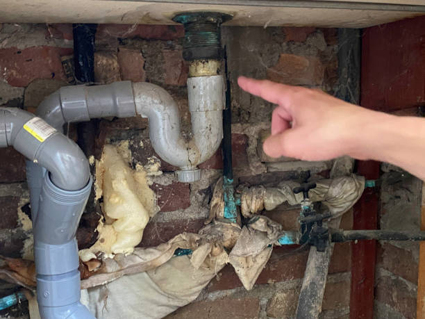 Best Water damage cleanup near me  in Granby, MO
