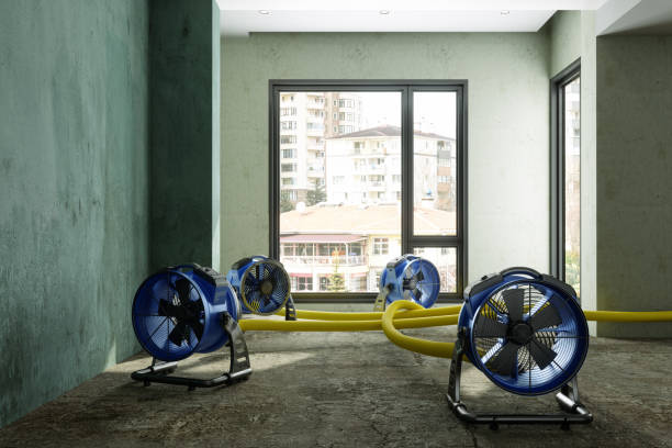 Best Water damage contractors near me  in Granby, MO