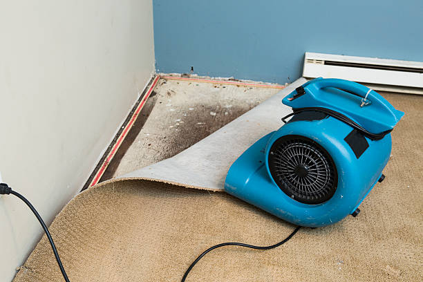 Best Flooded house restoration  in Granby, MO